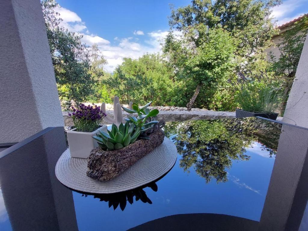 Apartment Rajna Cizici